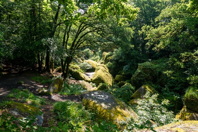 En el bosque de Huelgoat, luces y leyendas