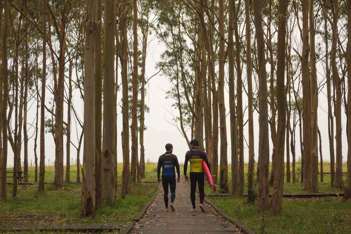 ¿Qué hacer en los alrededores de Dijon?  7 escapadas que no debe perderse