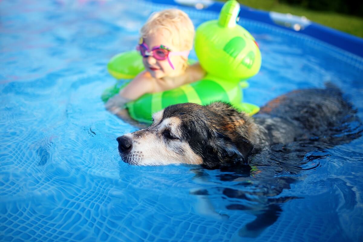 Tiempo para el verano Estos son los 20 mejores consejos sobre piscinas para garantizar la seguridad de toda su familia y amigos.
