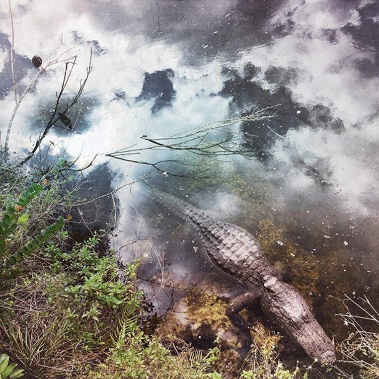 Expedición Everglades Wilderness Nov 5, 2016