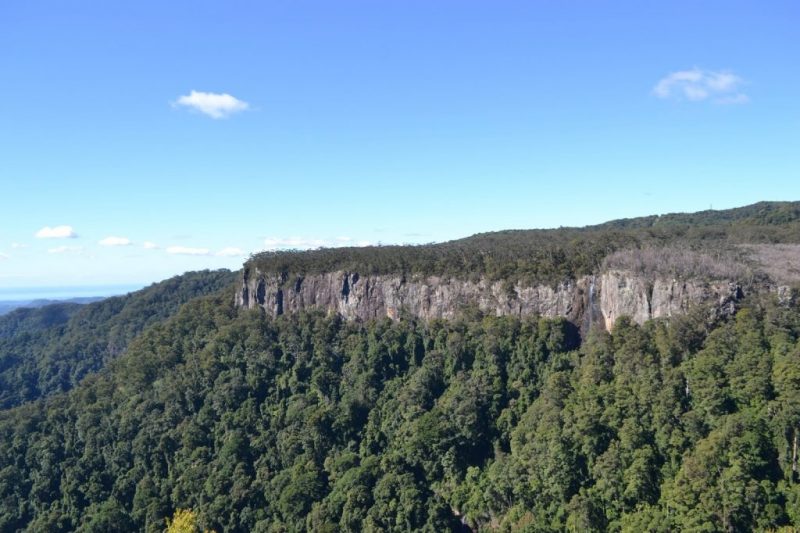 Surfer Paradise y Springbrook NP 2 de diciembre
