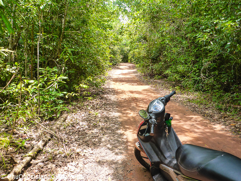 Tour por la isla de Phu Quoc en moto de alquiler de Bruno Drives Vietamien