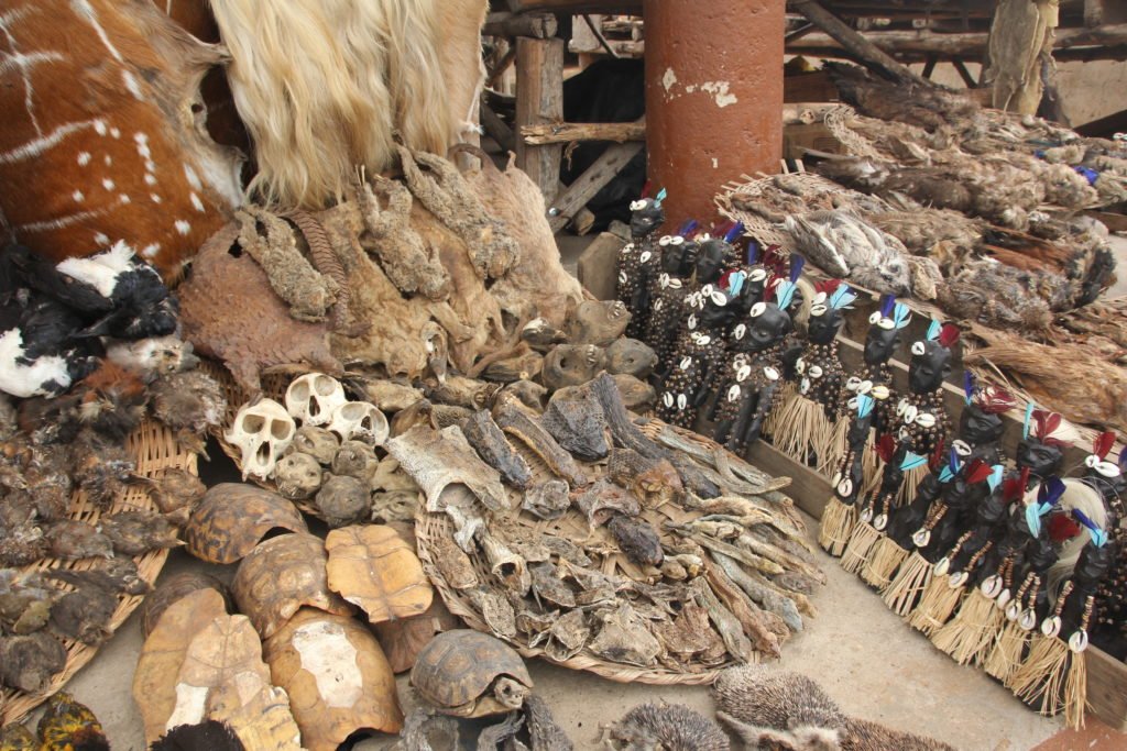 Mercado vudú de Togo
