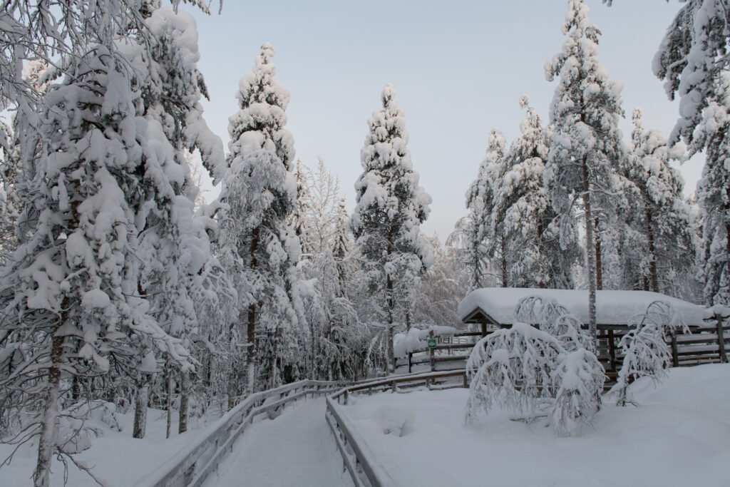Zoológico de Ranua en invierno en Finlandia