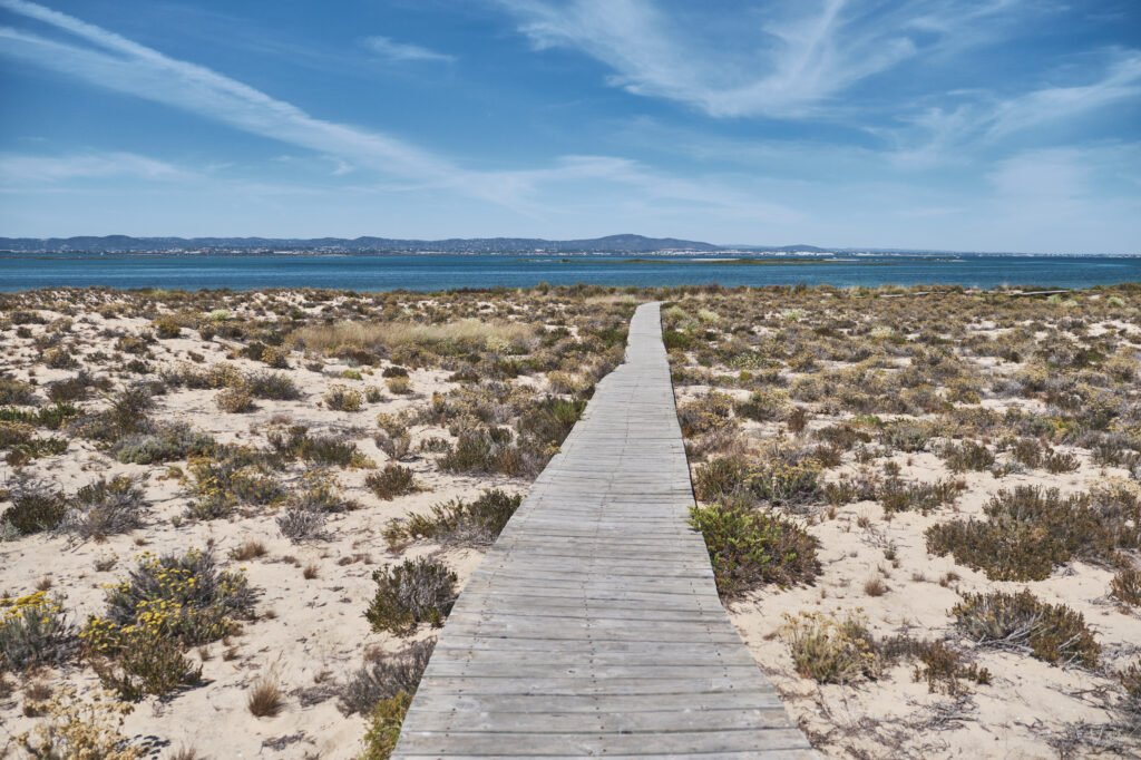 Isla desierta en Faro