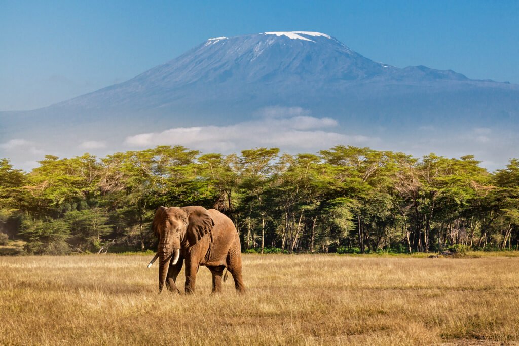 Kilimanjaro y los animales de la sabana entre los países más bellos de África