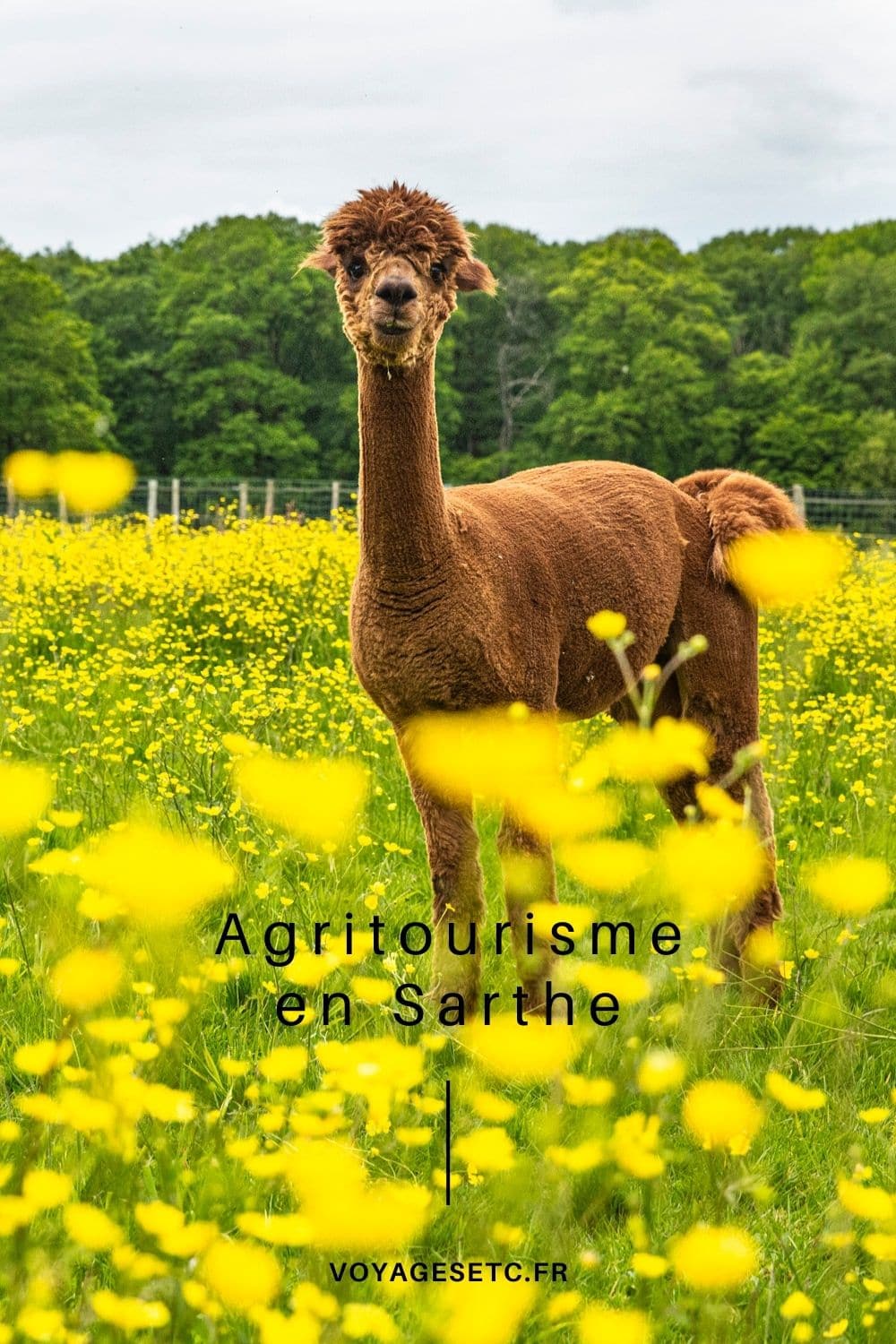 Descubrimiento de la granja en Sarthe en 3 reuniones