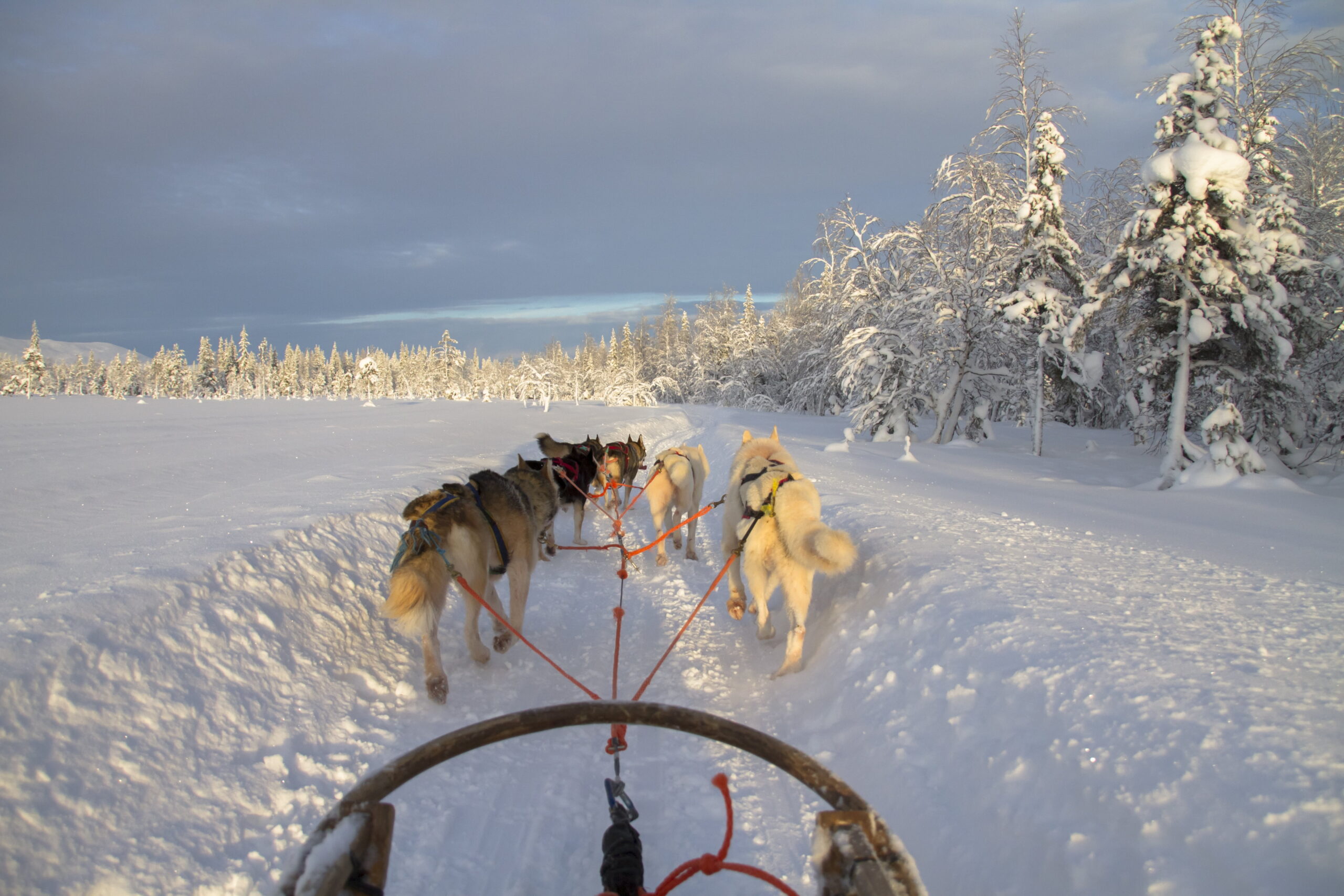 Qué hacer en la Laponia finlandesa en invierno
